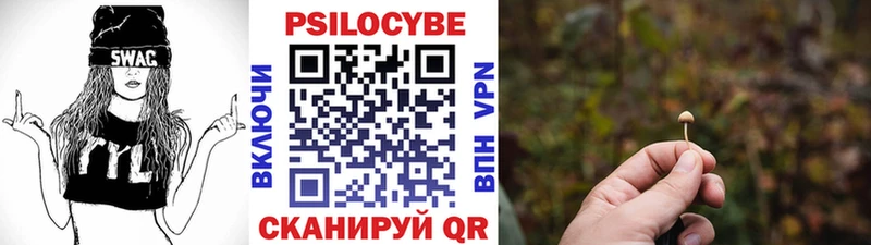 Купить  Сочи  Псилоцибиновые грибы мицелий 